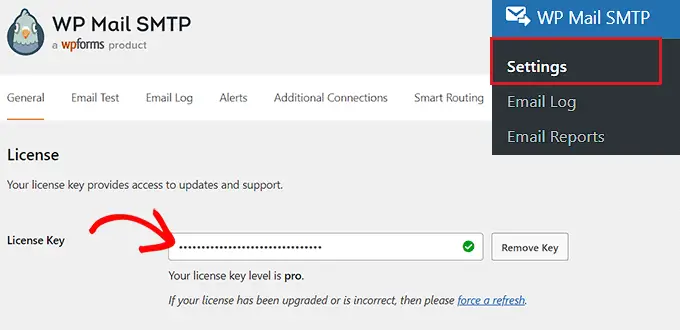 Type your WP Mail SMTP license key into the field