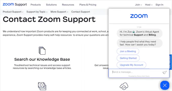 Professional support options: Zoom vs Google Meet