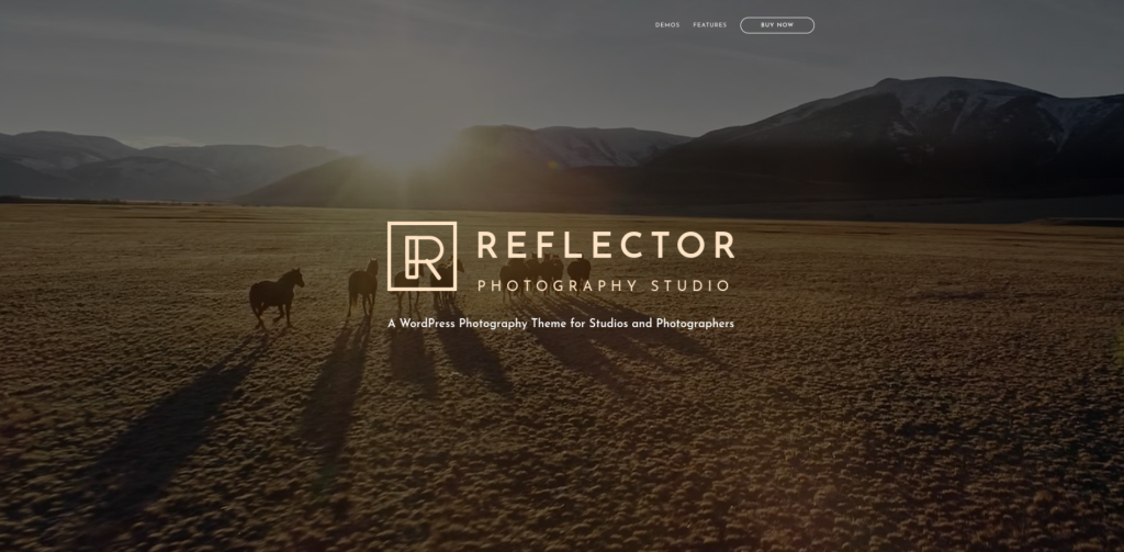 Tema Refletor Wp