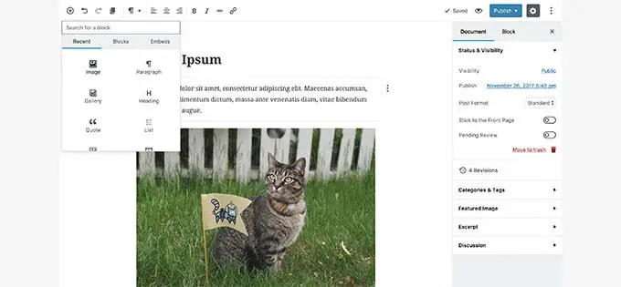 Block Editor was introduced in WordPress 5.0