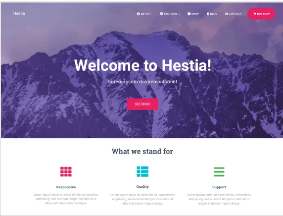 Hestia - Cele mai bune teme WordPress receptive