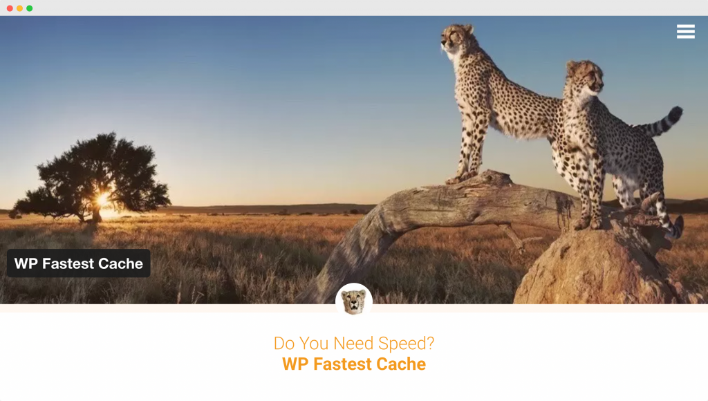 WP Fastest Cache