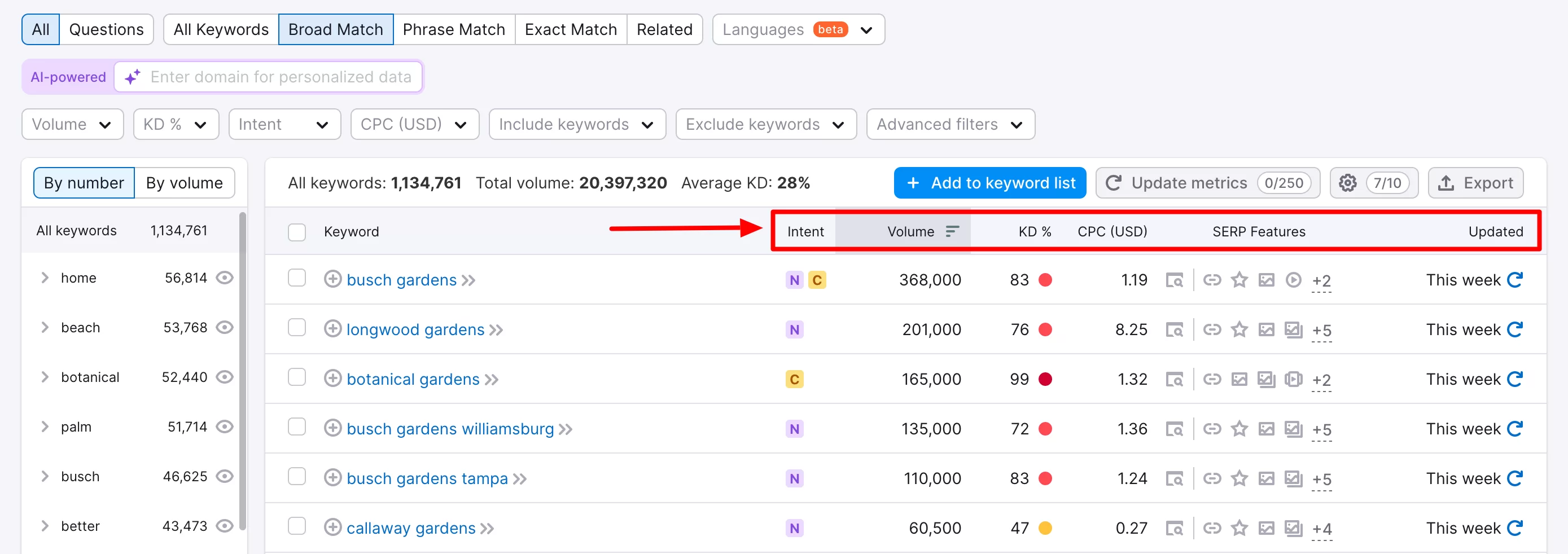 Les options proposées dans le Keyword Magic Tool.