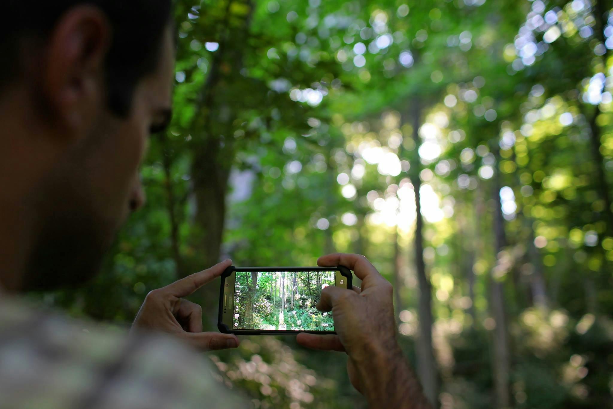 foto hutan