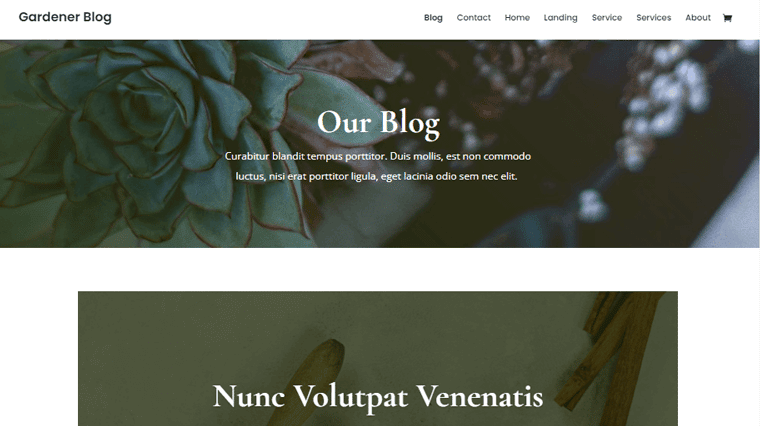 Tema WordPress Divi Nature