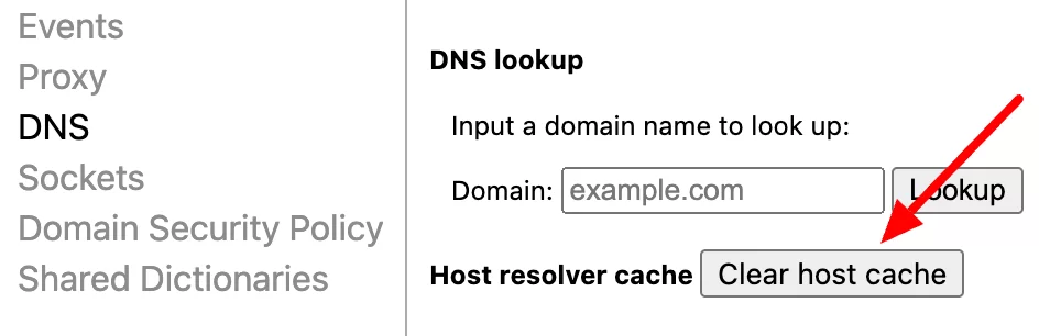 Wyczyść pamięć podręczną DNS przeglądarki Google Chrome.