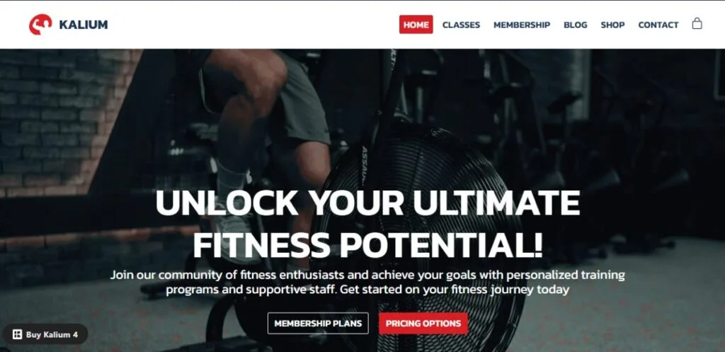 Kalium fitness wordpress teması