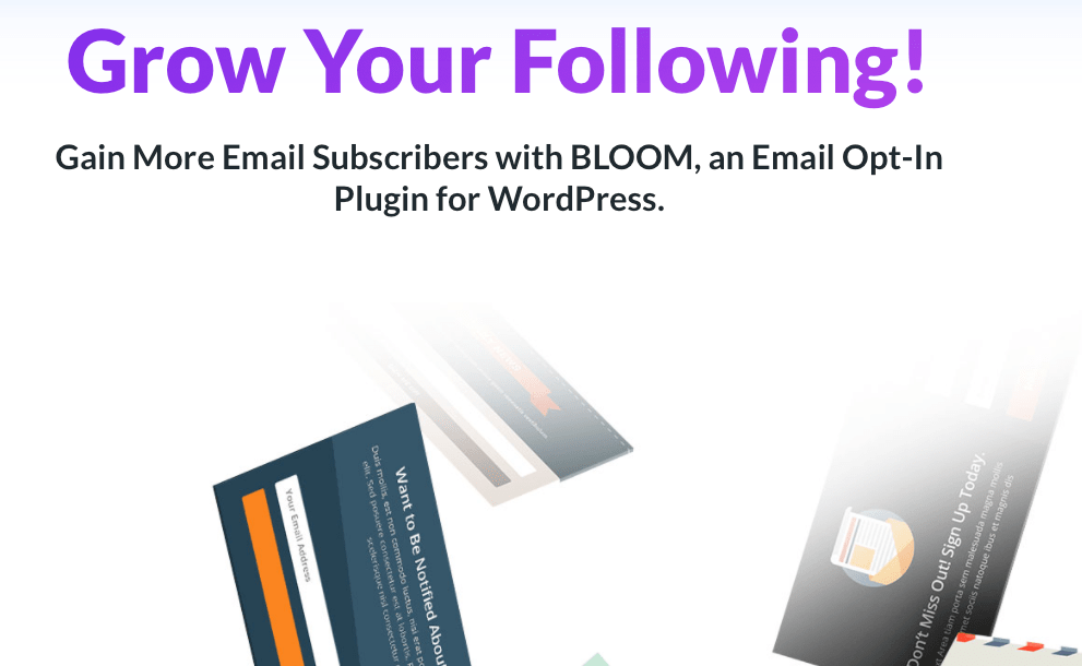 Plugin Keikutsertaan Email Bloom untuk WordPress