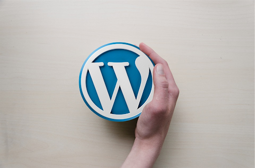 Best WordPress Development Tools & Plugins in 2022