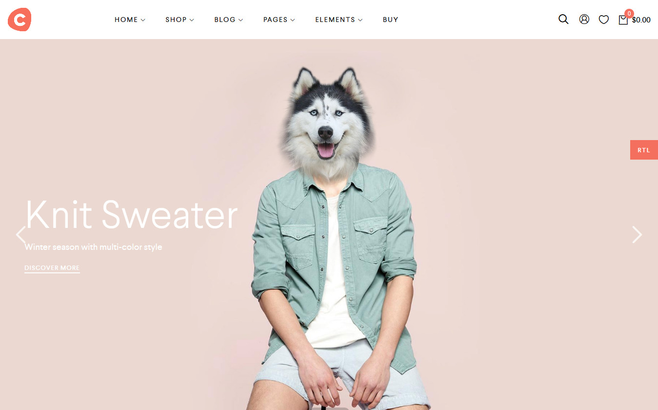 10+ Best Premium Elementor WordPress Themes