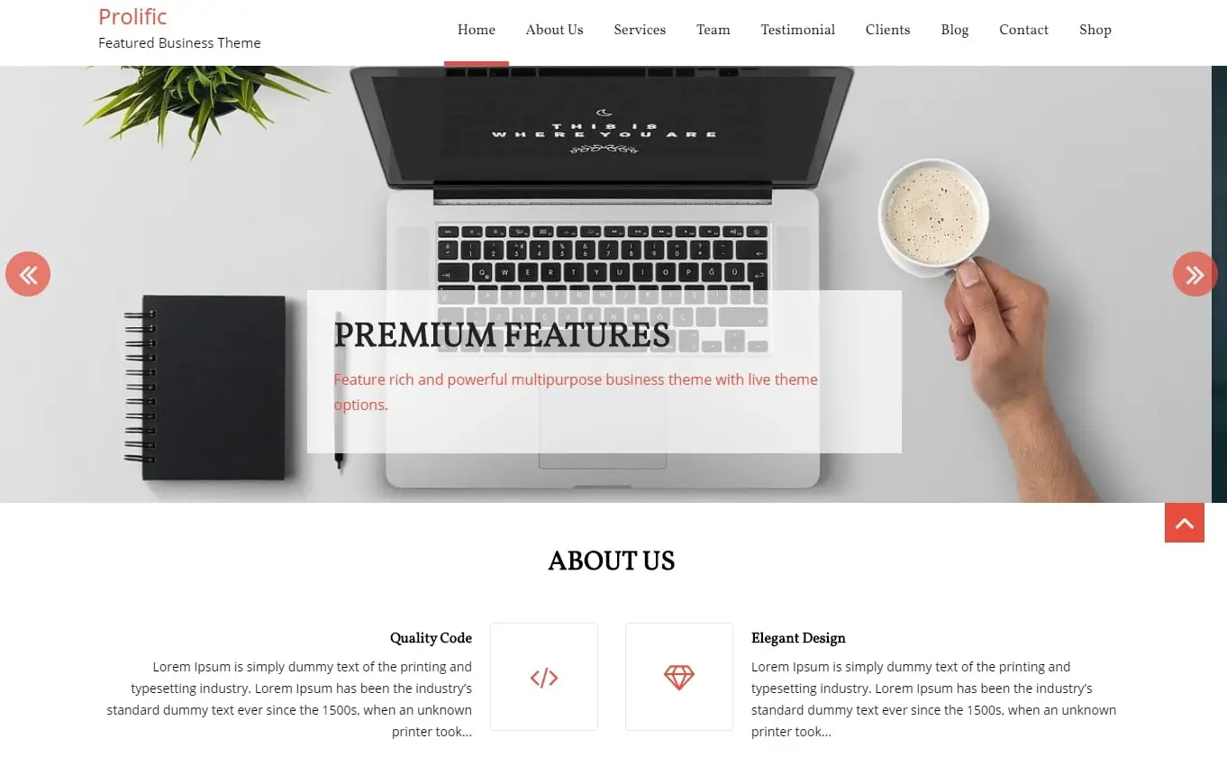 prolific free wordpress theme for landing page