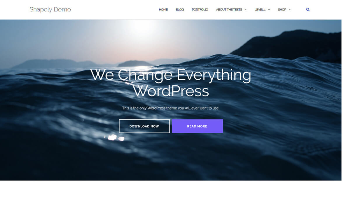 Shapely-Free WordPress Landing Page Theme