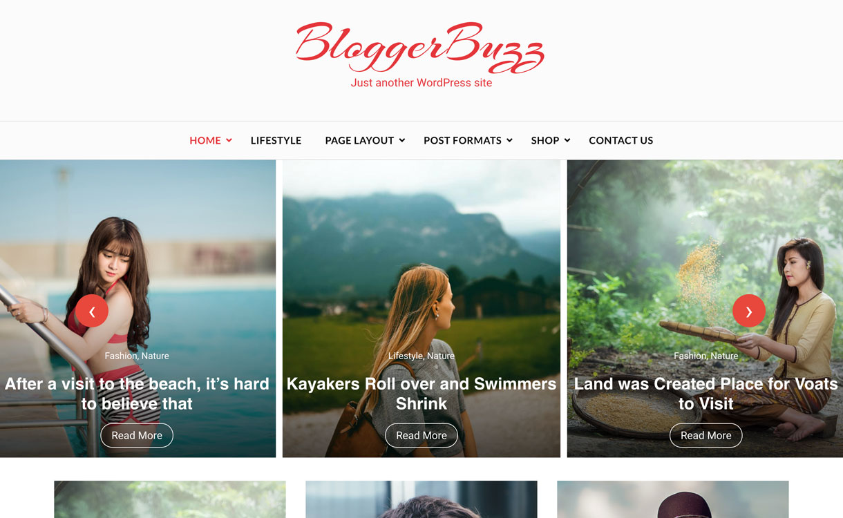 30+ Best Free WordPress Blog Themes for 2022