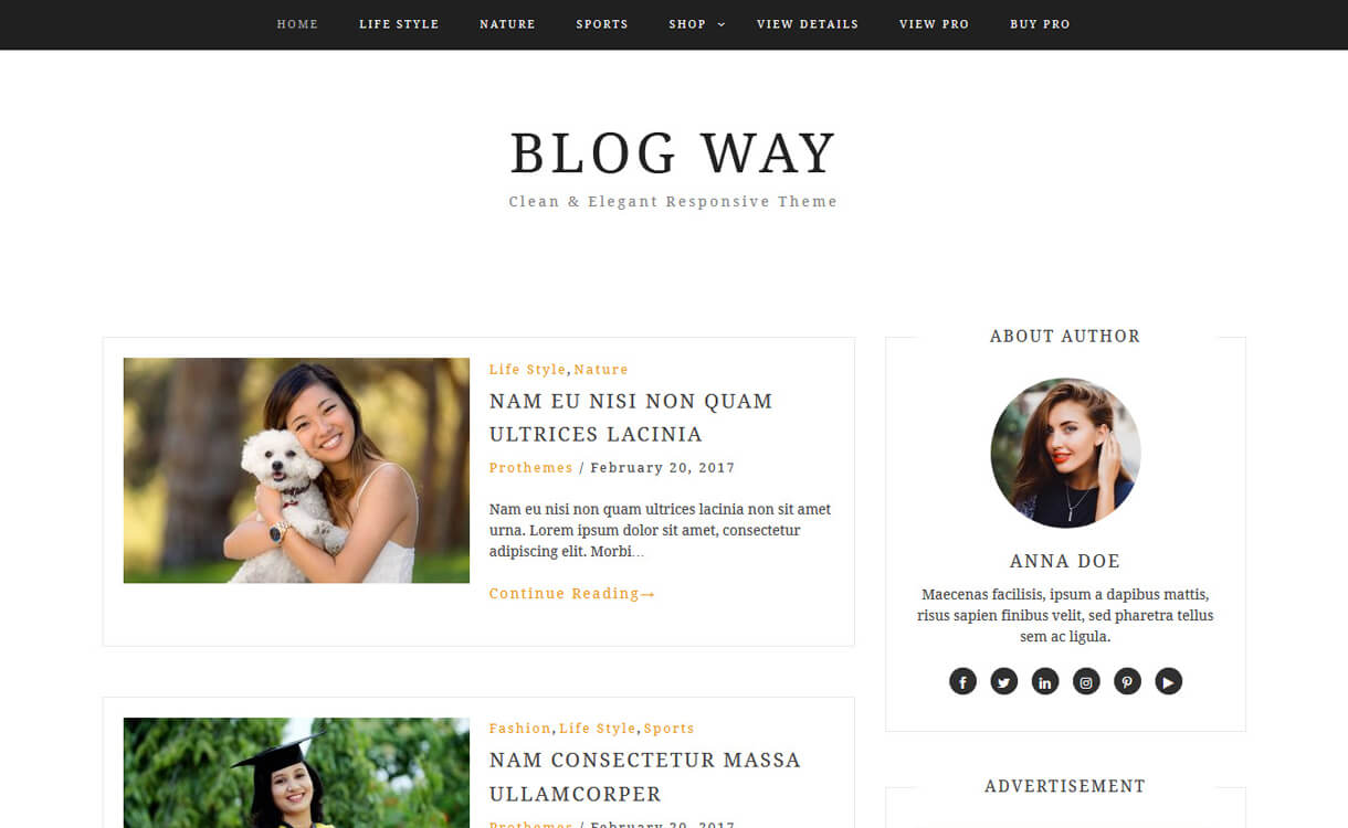 30+ Best Free WordPress Blog Themes for 2022