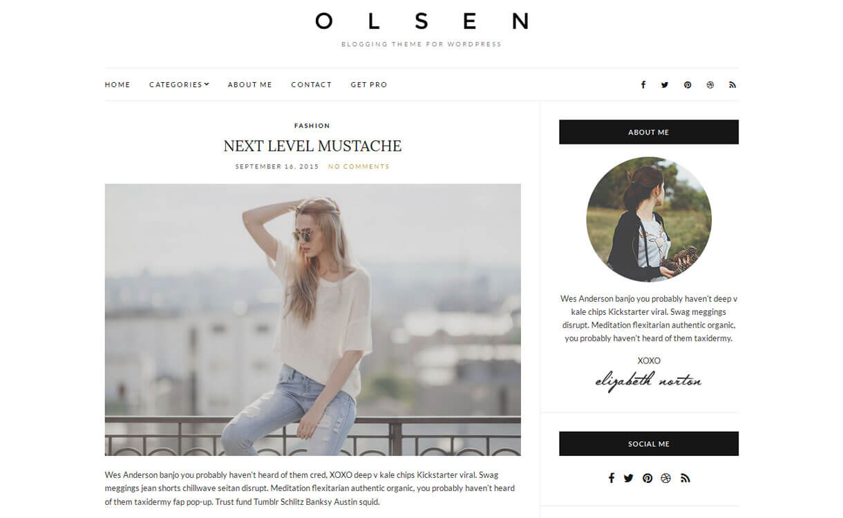 Olsen Light - Best Free WordPress Blog Themes for 2017