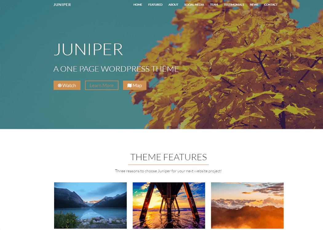 Juniper - WordPress One page Theme