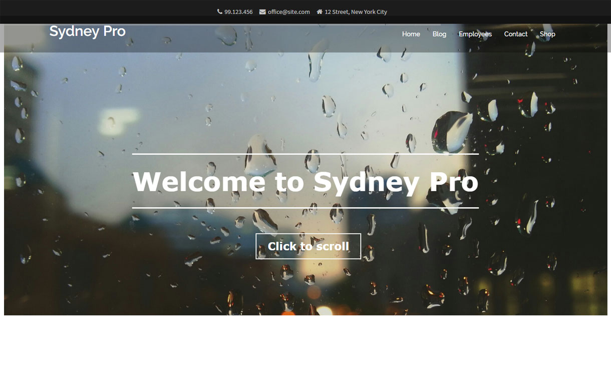 Sydney Pro - Premium Business WordPress Theme