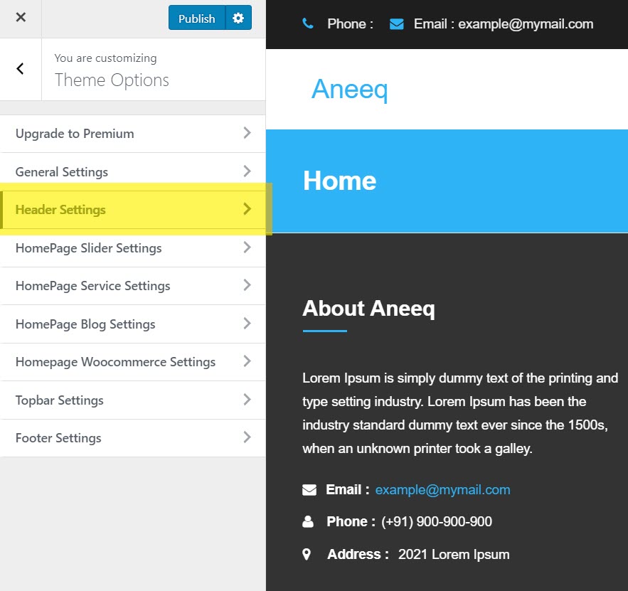 aneeq-wordpress-theme-homepage-header-settings