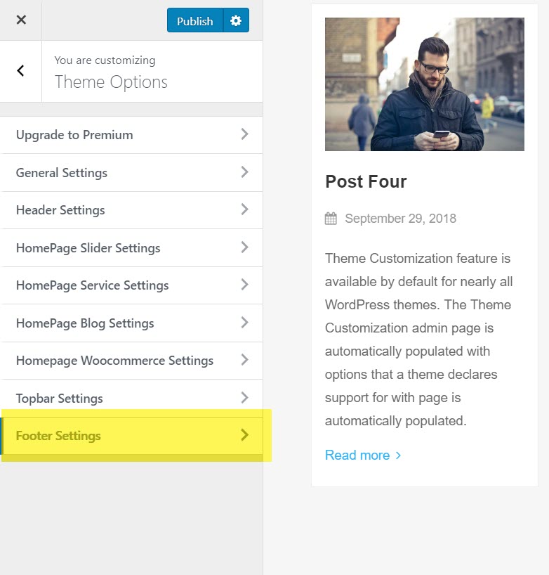 aneeq-wordpress-theme-homepage-footer-settings