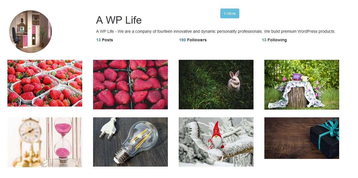 Instagram-Typ Galerie – Benutzerdefiniertes Insta-Profil-Plugin