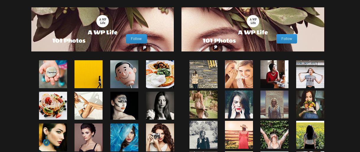 Flickr Album Photostream Profil WordPress Plugin