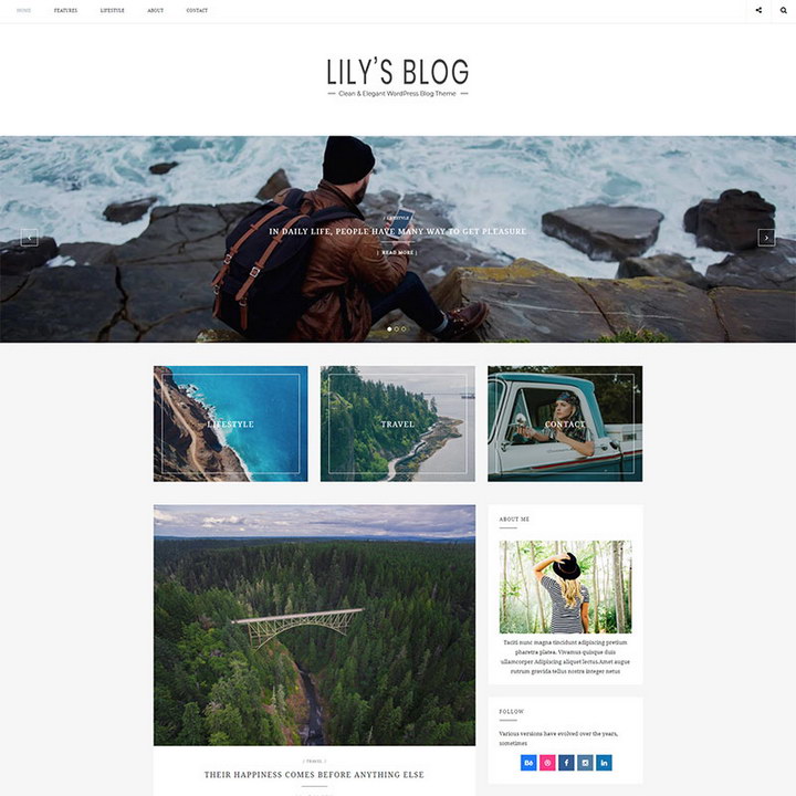 Lily - 乾淨優雅的博客 WordPress 主題