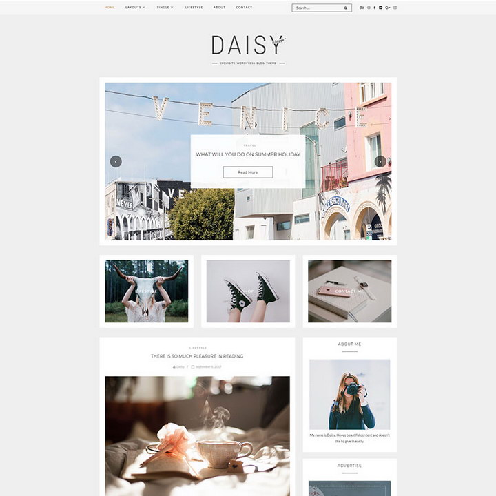 Daisy - 精美博客 WordPress 主題