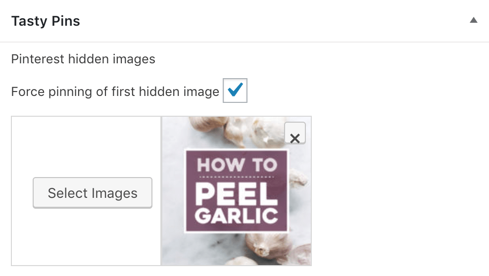 Boîte méta Tasty Pins avec une image spécifique à pinterest sélectionnée et la case "forcer l'épinglage de la première image cachée" cochée