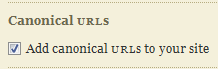 Thesis Theme Canonical URLS set up