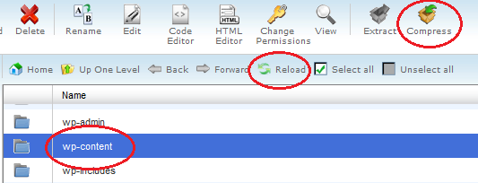 compress wp-content folder