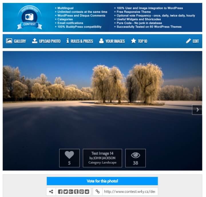 przykład wtyczki konkursu fotograficznego wordpress