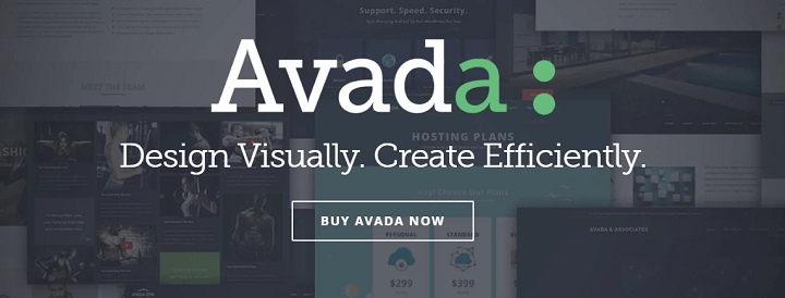 Avada WordPress 主题排名支付