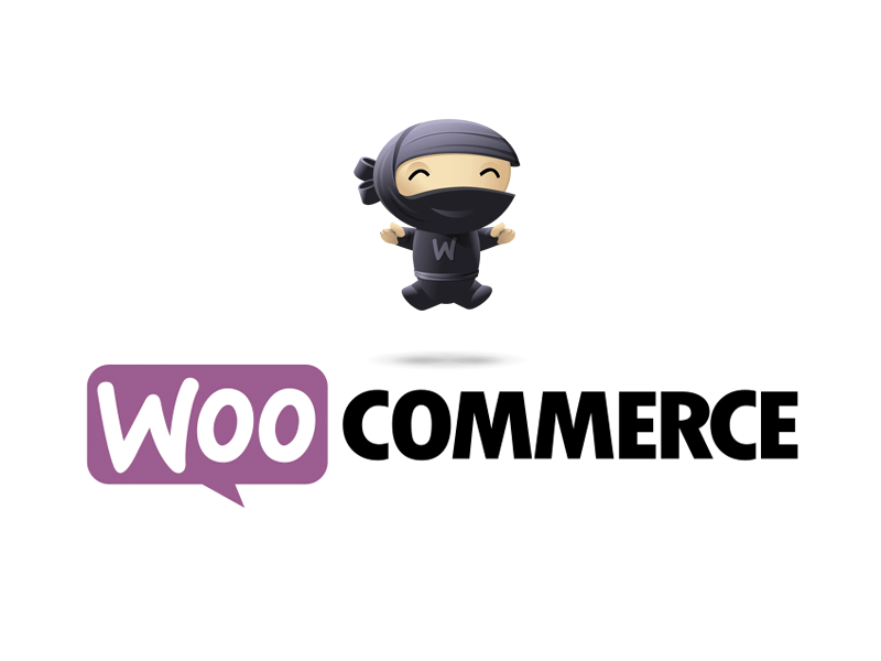 Top 10 pluginuri de comerț electronic pentru WordPress