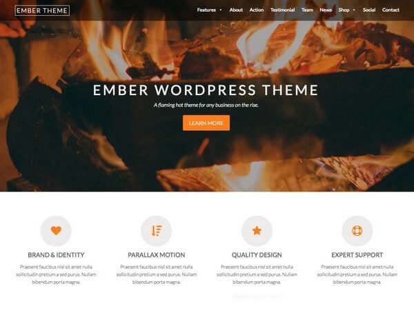 Ember is a modern flexible and responsive WordPress theme ideal for professionals, freelancers, and agencies.