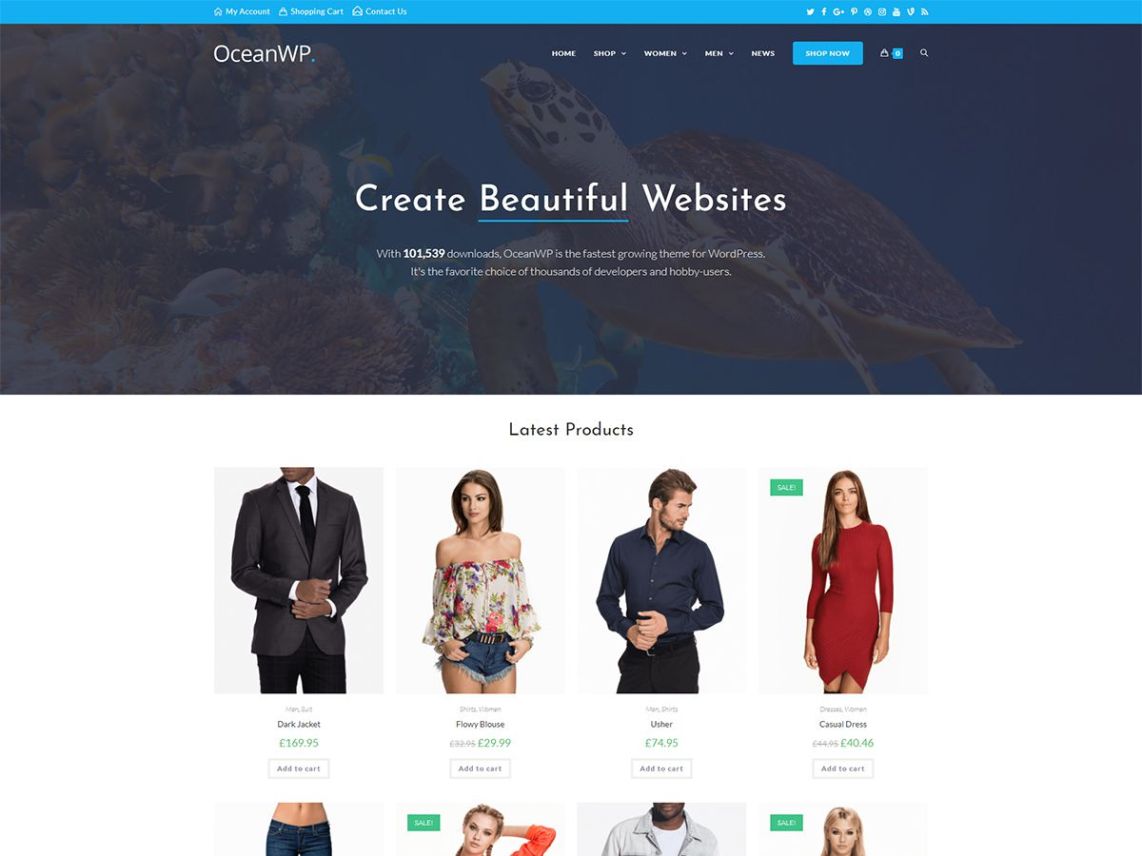 Tema elemen gratis OceanWP WordPress