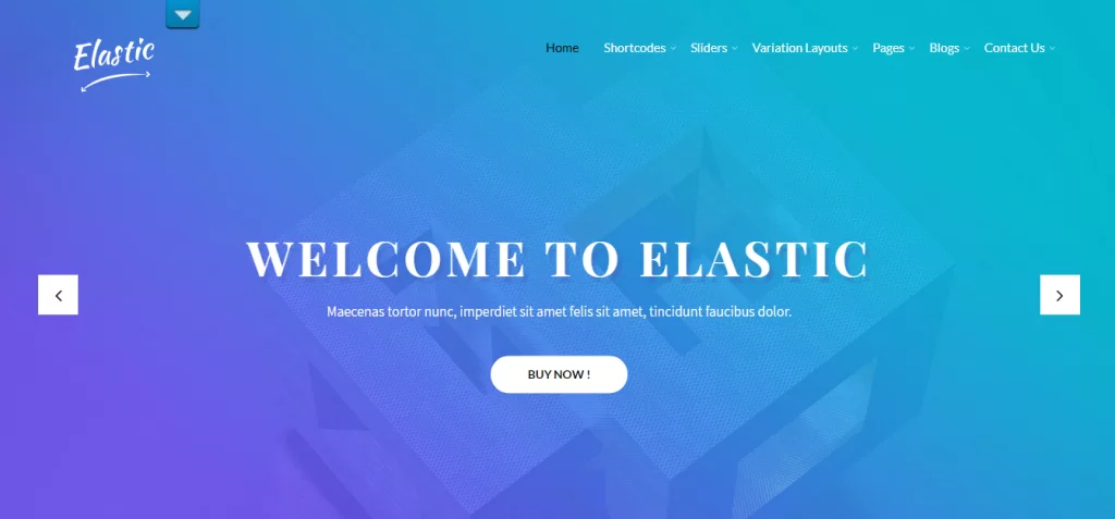 SKT Elastyczny motyw WordPress