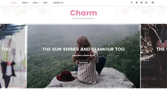 Charme -WordPress Theme