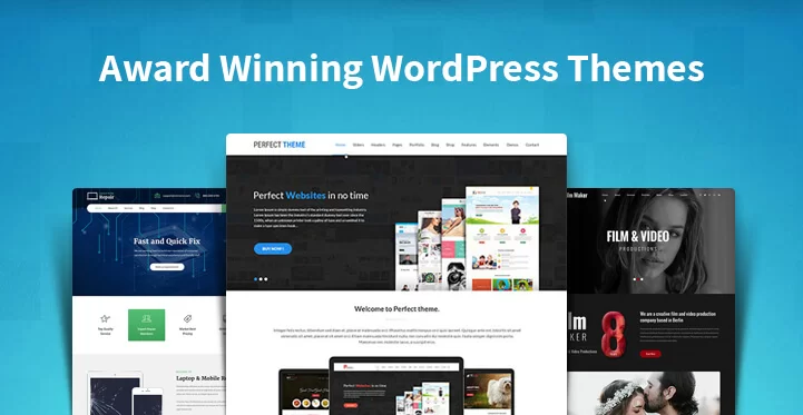 Teme WordPress premiate