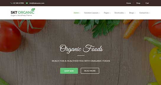 Tema WordPress organică