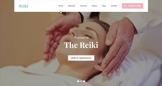 Professionnel du Reiki