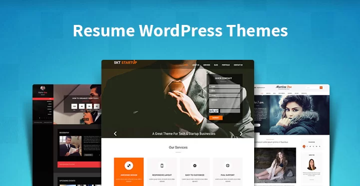 Резюме темы WordPress