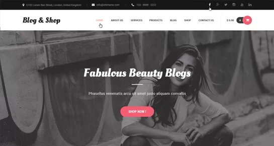 boutique de blogs