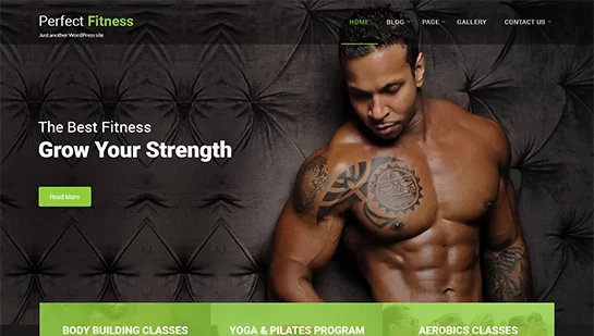 Tema WordPress perfect-fitness