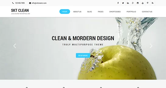 kostenloses sauberes WordPress-Theme