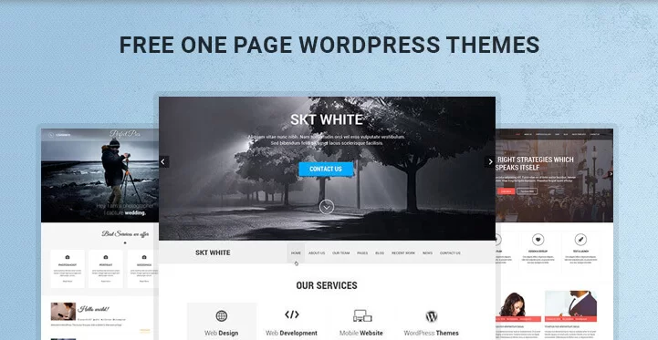 免费一页 WordPress 主题横幅