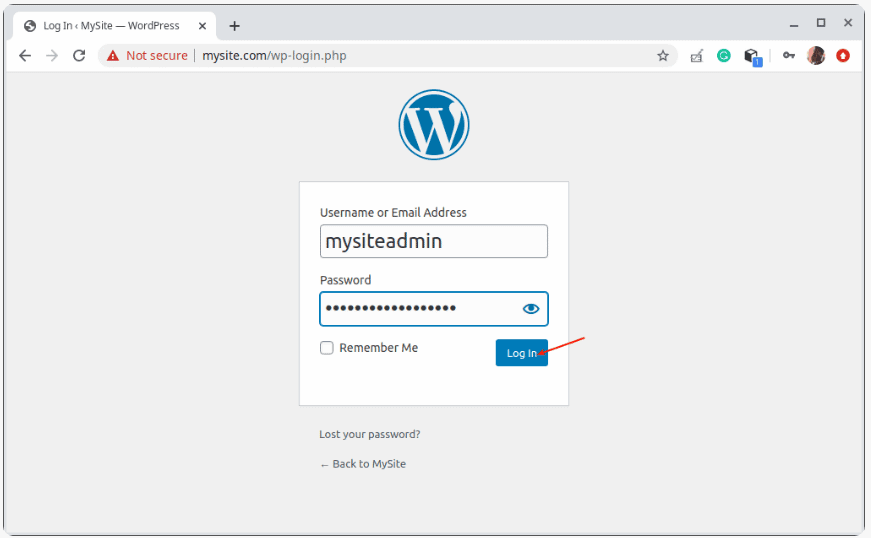 WordPress için oturum açma bilgilerini girme