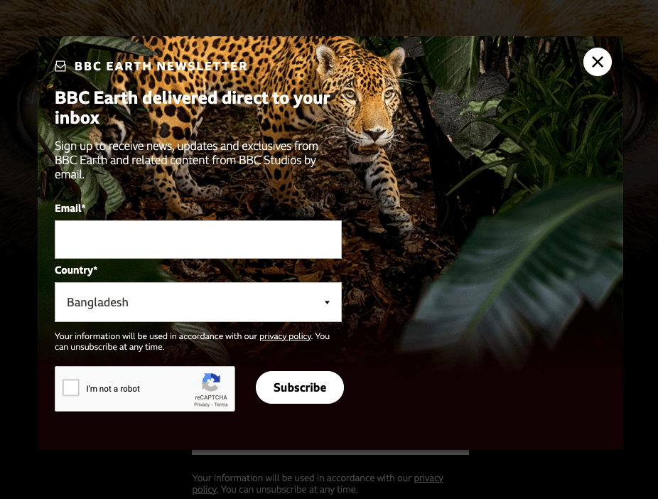 Exemplu de înscriere la buletinul informativ BBC Earth