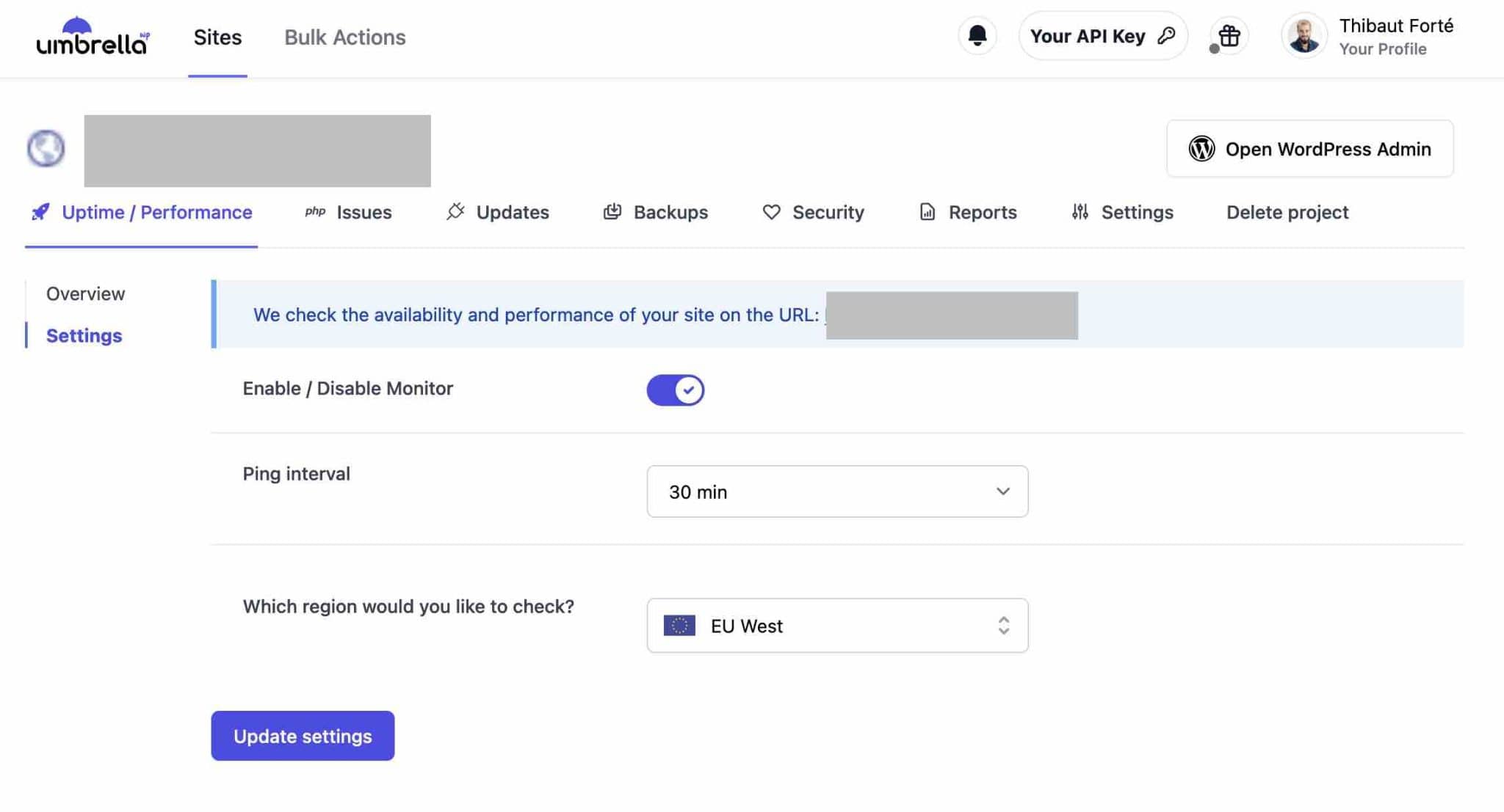 Opções de monitoramento no WP Umbrella.