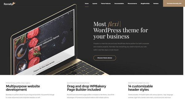 Ronneby is a modern and versatile WordPress theme.