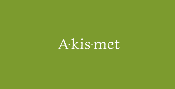 Wtyczka spamowa Akismet wordpress